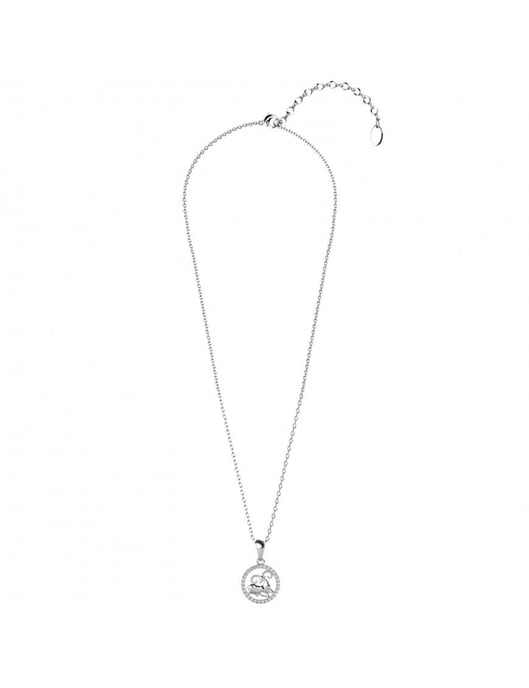 Dierenriem hangers - Oostenrijks kristal - Image 5