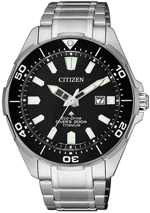 Citizen Promaster Land Heren Zilveren Horloge BN0200-81E - Image 1