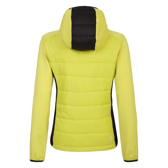 Dare 2B Womens/Ladies Ascending Hybrid Jacket (Yellow Plum/Black)