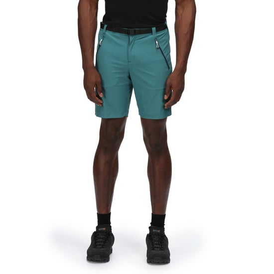 Regatta Heren Xert III Stretch Shorts (Pacifisch Groen) - Image 4