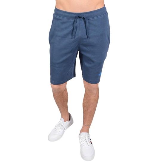 The North Face Heren Graphic Short Blauw - Image 1