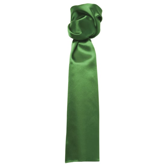 Premier Sjaal - Dames/vrouwen Gewone Zakelijke Sjaal (Smaragd) - Image 1