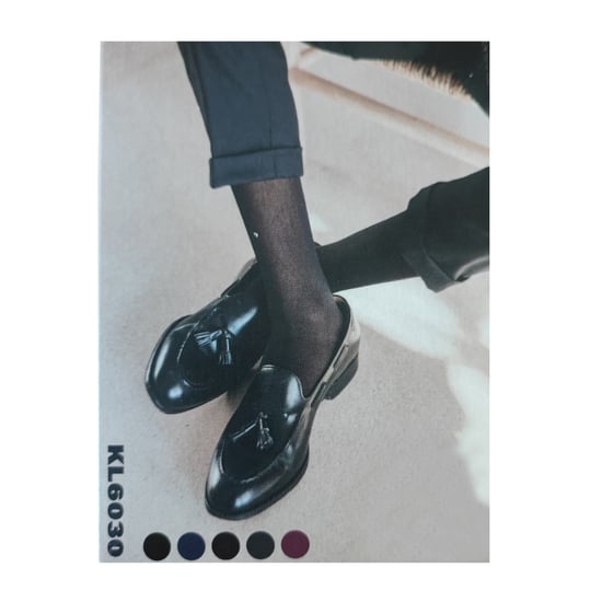 Pack of 2 men's executive socks KL6030