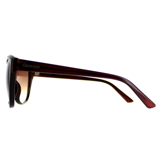 Calvin Klein Cat Eye Womens Crystal Brown  Brown CK19536S