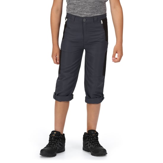 Regatta Childrens/Kids Sorcer V Mountain Trousers (India Grey/Black)