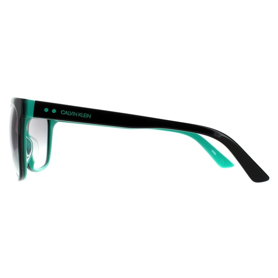Calvin Klein zonnebril CK19503S 012 Zwart groenblauw grijze gradiënt - Image 3