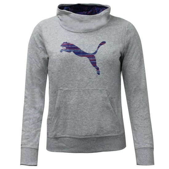 Puma FUN TD Grey Junior Hooded Sweat