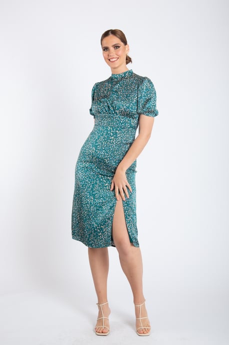 Animal Printed High Neck Midi Dress