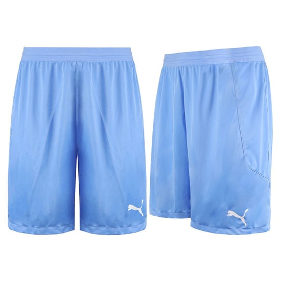 Puma DryCell TeamFinal 21 Stretch Waist Mens Light Blue Shorts 704257 18