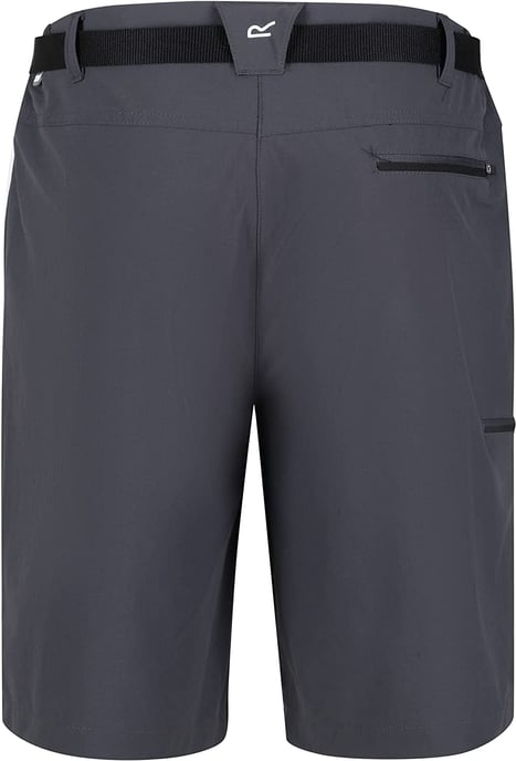 Regatta Heren Xert III Stretch Shorts (Afdichting Grijs) - Image 2