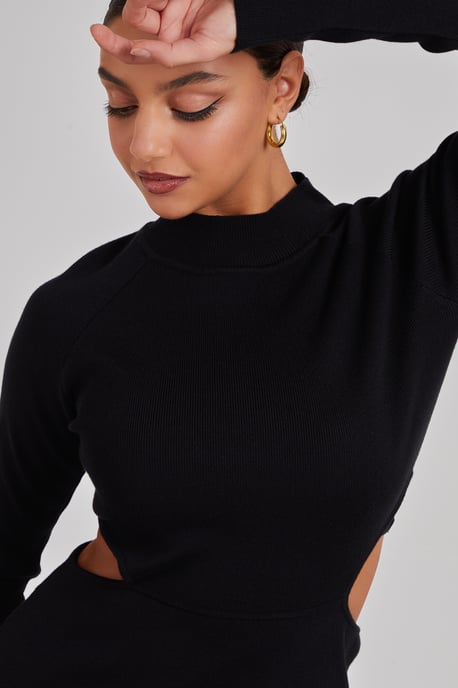Side Cut Out High Neck Dress