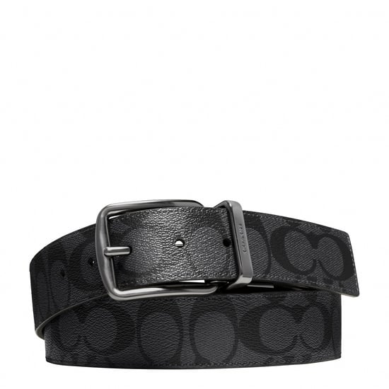 Wide Harness CTS Reversible Belt in Signature