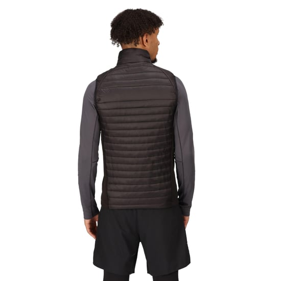Regatta Mens Navigate Quilted Hybrid Gilet (Black/Classic Red)