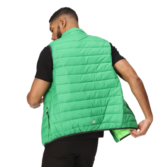 Regatta Mens Marizion Quilted Gilet (Field Green/Jasmine Green)