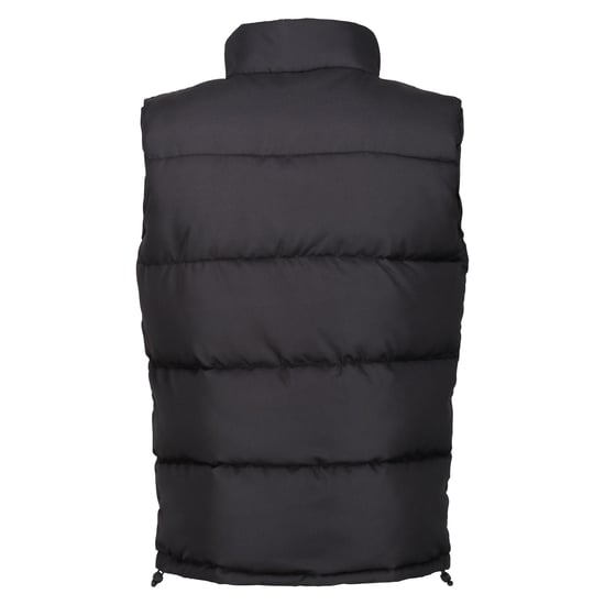 Regatta Mens Northdale Insulated Gilet (Black)