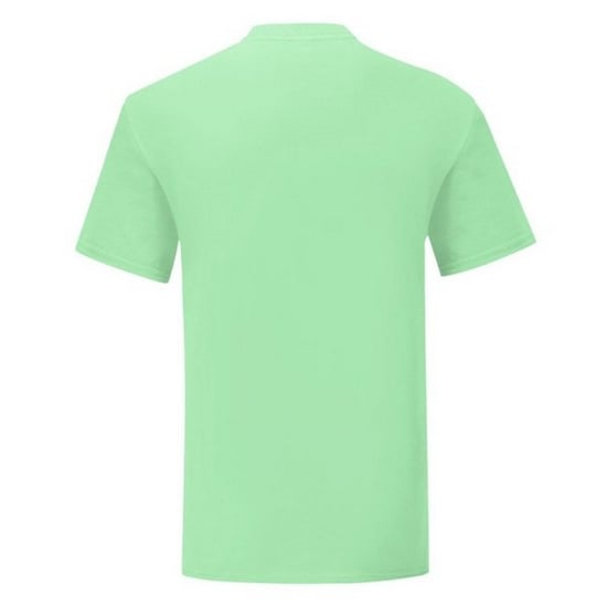 Fruit of the Loom Heren Iconisch 150 T-Shirt (Muntgroen) - Image 2