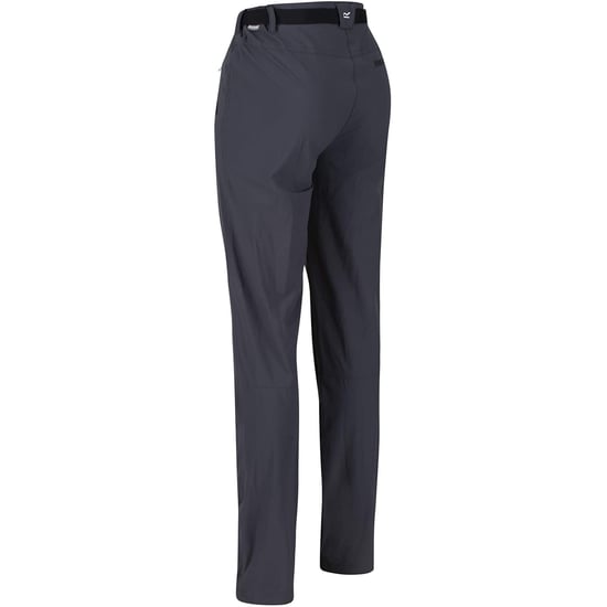 Regatta Dames/dames Xert III Stretch Active Broek (Afdichting Grijs) - Image 2