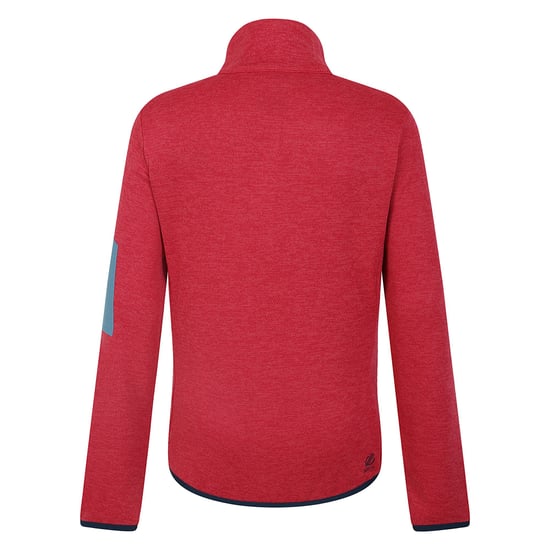Dare 2B Womens/Ladies Torrek Fleece Top (Mint Green)