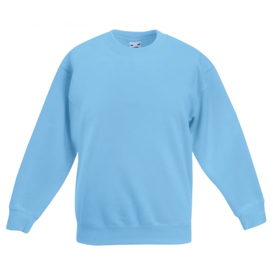 Fruit Of The Loom Kids Unisex Premium 70/30 Sweatshirt (Sky Blue)