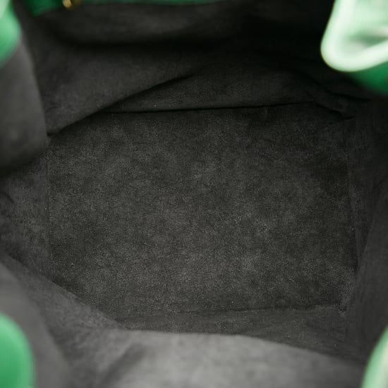 Vintage Louis Vuitton Epi Noe Green - Image 5