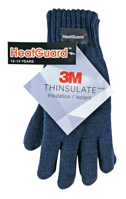 Dunsulate 3m 40 gram thermo winterhandschoenen voor kinderen - Blauw - Image 2