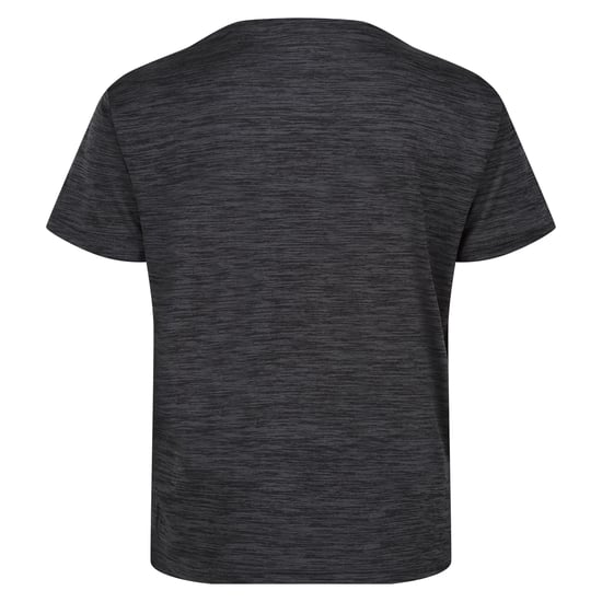 Regatta Kinderen/Kinderen Fingal Editie Marl T-Shirt (Afdichting Grijs) - Image 2