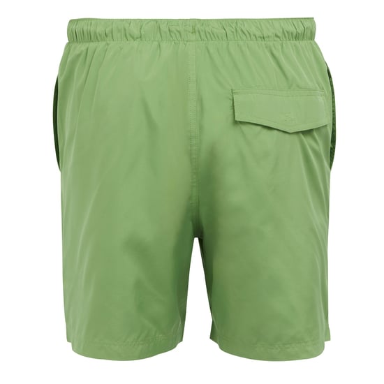 Regatta Mens Mackleyna Swim Shorts (Piquant Green)