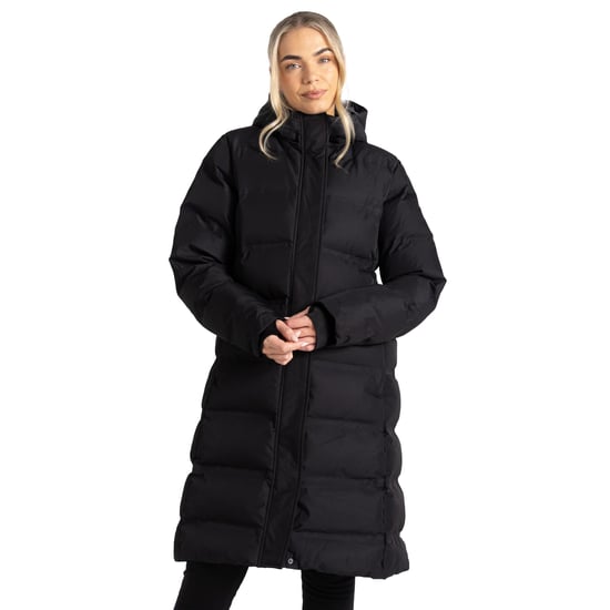 Dare 2B Womens/Ladies Wander Padded Jacket (Black)