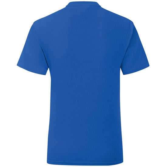 Fruit Of The Loom Mens Iconic T-Shirt (Royal Blue)