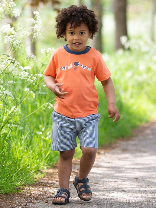 Kite Clothing Ticking Shorts