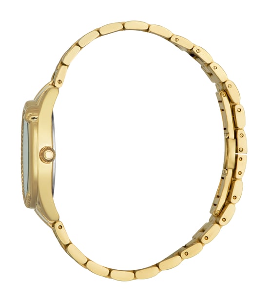 RC5L038M0065 Roberto Cavalli 4894626190001 Womens Quartz Stainless Steel Dark Green 5 ATM 32 mm Watch