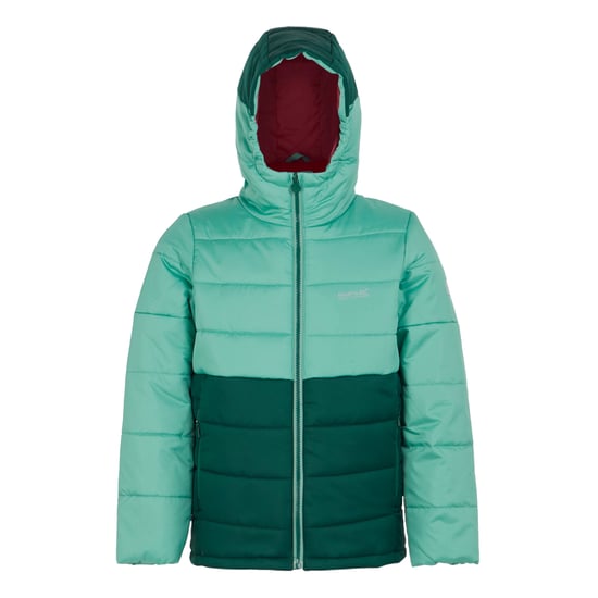 Regatta Childrens/Kids Lofthouse VIII Insulated Jacket (Dusty Green/Rainforest)