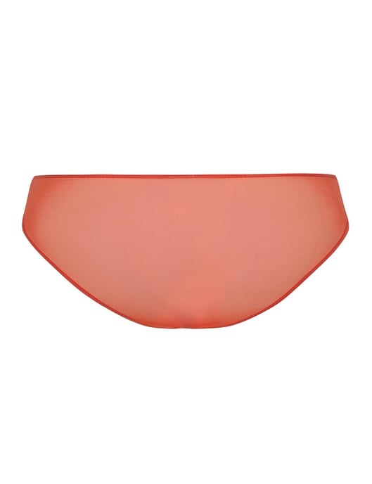 Empreinte Paola Brief