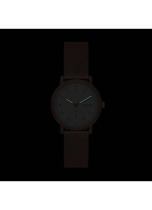 Skagen Kuppel Lille Women's Rose Gold Watch SKW3099