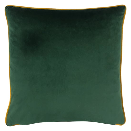 Veadeiros Botanical Feather Filled Cushion