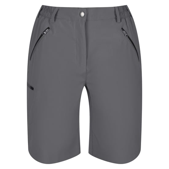 Regatta Dames/Dames Xert Stretch Shorts (Afdichting Grijs) - Image 1