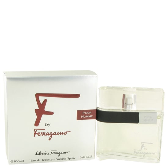 S. Ferragamo F Pour Homme Edt Spray100 ml. - Image 1