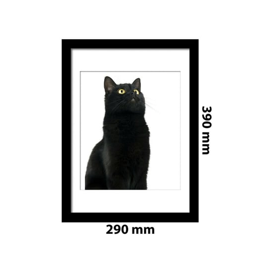 Combo of  Framed Art 2in1 Cute Black Cat Poster Framed Photo, Framed Art
