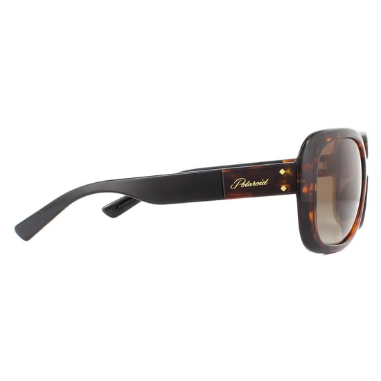 Polaroid Butterfly Womens Havana Brown Gradient Polarized Sunglasses