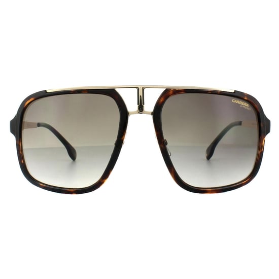 Carrera Square Unisex Havana Gold Brown Gradient Sunglasses