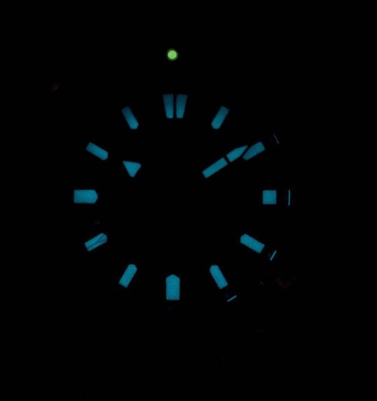 Citizen Promaster Land Heren Zilveren Horloge BN0200-81E - Image 3
