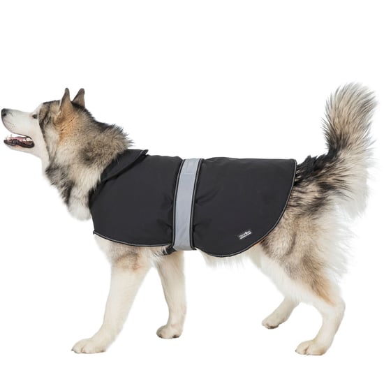 Trespass Butch Touch Fastening Softshell Dog Jacket (Black)