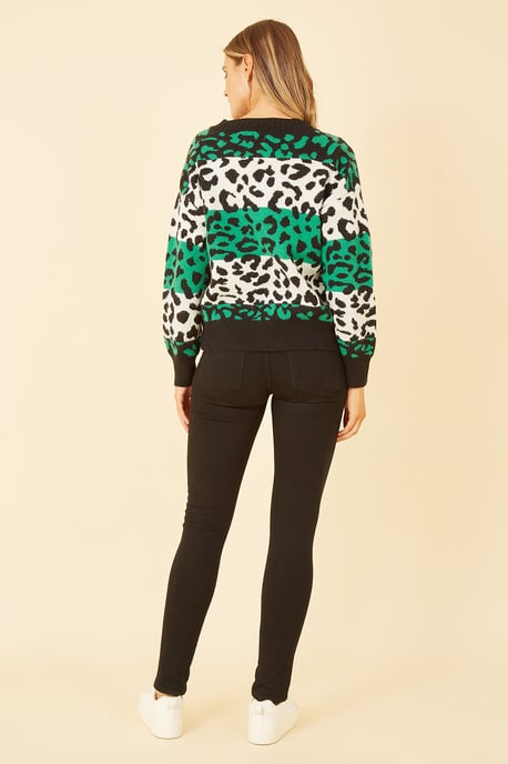 Green Animal Stripe Intarsia Knitted Cardigan