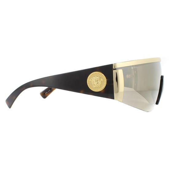 Versace Sunglasses VE2197 10005A Gold Brown