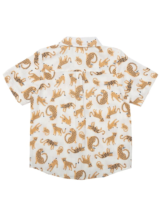 Kite Clothing Cat Kingdom Shirt