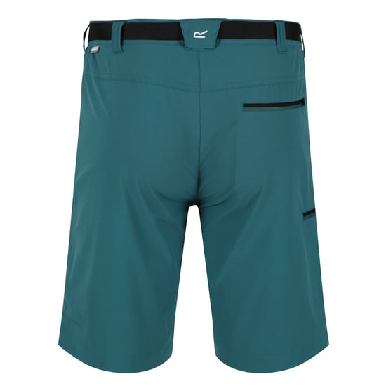 Regatta Heren Xert III Stretch Shorts (Pacifisch Groen) - Image 2