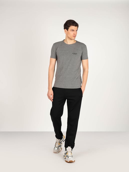 Iceberg T-shirt C-neck Men's Grey