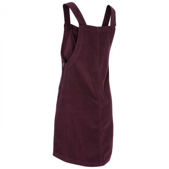 Trespass Womens/Ladies Twirl Casual Dress (Fig)