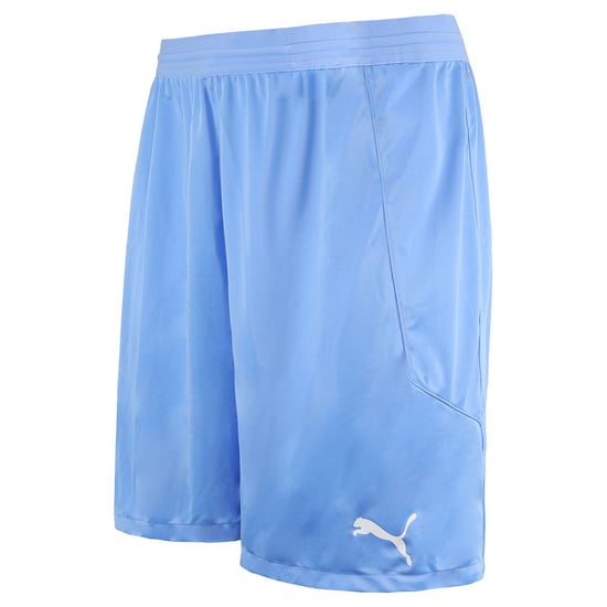 Puma DryCell TeamFinal 21 Stretch Waist Mens Light Blue Shorts 704257 18