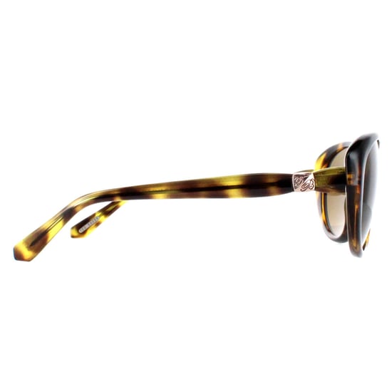Ted Baker Oval Womens Havana Brown Gradient TB1315 Cougar
